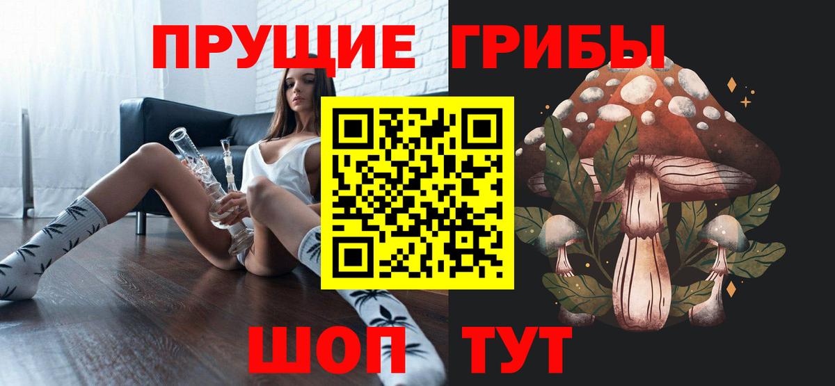Ипатово  Псилоцибиновые грибы Psilocybine cubensis  Вход с VPN 